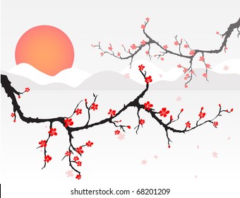 cherry blossom at sunset