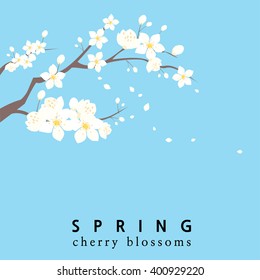 A cherry blossom themed spring template