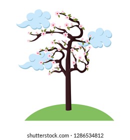 cherry blossom tree