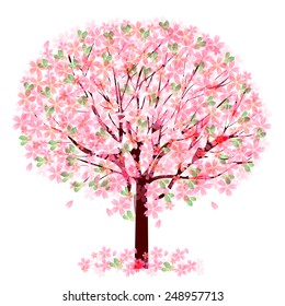  Cherry blossom tree