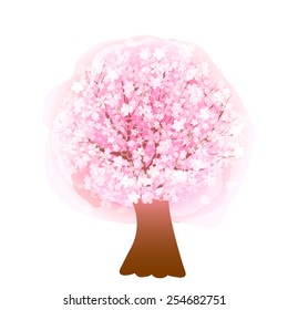 Cherry blossom tree