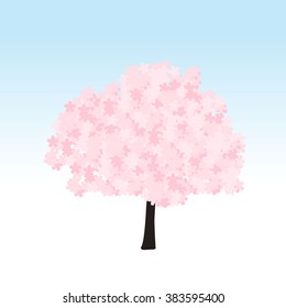 Cherry blossom tree.
