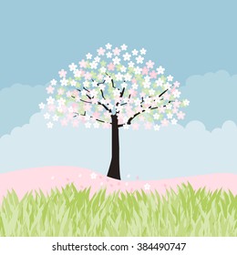 Cherry blossom tree.