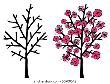 Cherry Blossom Tree