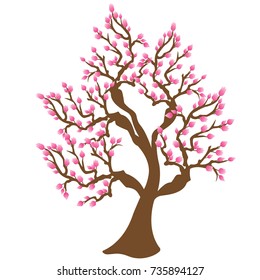 Cherry blossom tree background