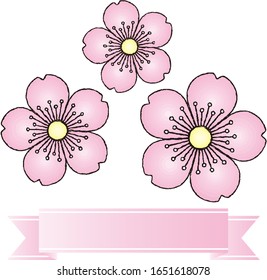 Cherry blossom, cherry tree, background material