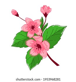 Cherry blossom tree branch, isolated sakura blooming in spring. Flower with tender petals and green leaves, season of hanami in oriental countries. Botany in flourishing. Vector in flat style