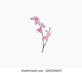Rama de árbol de flores de cerezo con flor rosa esparcida 