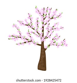 Cherry blossom tree with delicate light pink flower branches in simple flat style, vector illustration for Welcome spring concept, greeting cards, banners, invitations