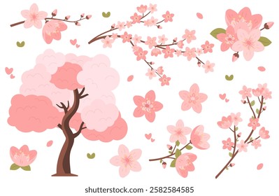 Cherry blossom tree and flower elements set. Vector sakura clipart collection. Isolated on white background