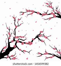 cherry blossom tree free vector