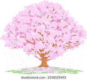 Cherry blossom tree in full bloom announce the arrival of spring in Japan's four seasons(vector illustration)