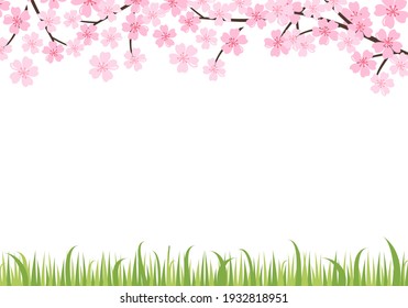 Árbol de flores de cerezo con hierba verde sobre ilustración vectorial de fondo blanco. Papel de la flor de Sakura con espacio para copiar.