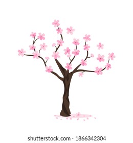 Cherry Blossom Tree Icon On White Stock Vector (royalty Free 