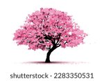 cherry blossom tree  isolated on white backdrop.