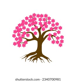 cherry blossom tree isolated on white backdrop.