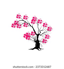 cherry blossom tree isolated on white backdrop.
