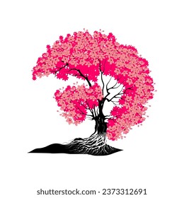 árbol de flores de cerezo aislado sobre fondo blanco.