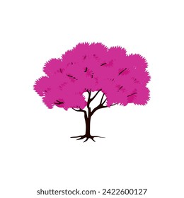 cherry blossom tree isolated on white backdrop.