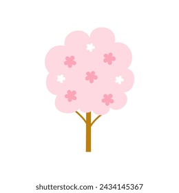 Cherry blossom tree isolated on white background.	