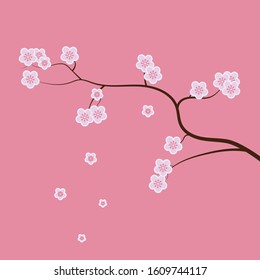 cherry blossom tree from japan