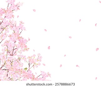 Cherry blossom tree with Japanese bush warbler - beautiful light pink cherry blossoms and petals spring watercolor white background frame background clipart