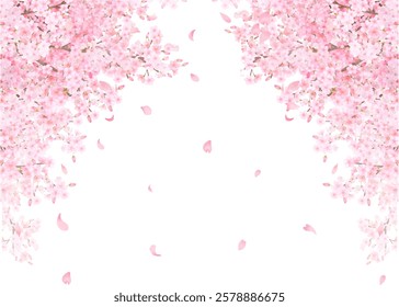 Cherry blossom tree with Japanese bush warbler - beautiful light pink cherry blossoms and petals spring watercolor white background frame background clipart