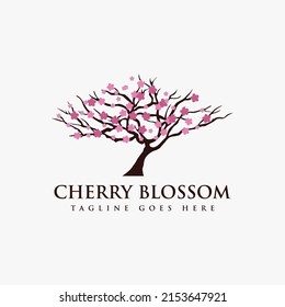 Cherry Blossom tree logo vector on white background