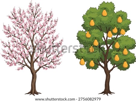 Cherry blossom tree, pear tree, pink flowers, green leaves, fruit tree, spring season, orchard landscape, blooming nature, floral background, agriculture concept