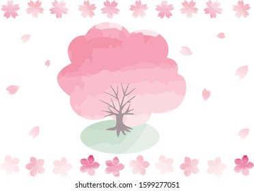 Cherry blossom, cherry tree, petal