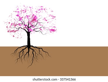 Cherry blossom tree show the roots on the white background,vector illustration,object or background