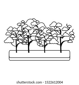 cherry blossom tree and trees icon over white background, vector illustration