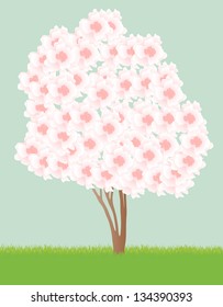 Cherry blossom tree vector background