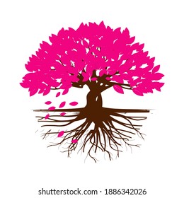 cherry blossom tree, vector illustration