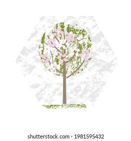  cherry blossom tree vector illustration