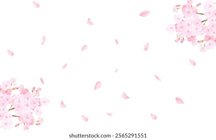 cherry blossom tree vector illustration 