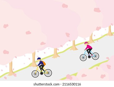 cherry blossom trees and cyclists