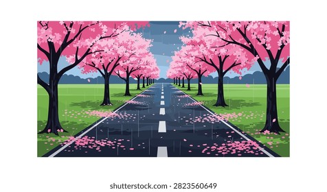 Cherry blossom trees lining a wet asphalt road during a spring rain shower with pink petals scattered on the ground.
