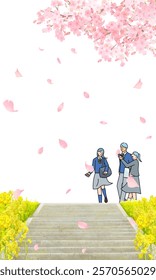 Cherry blossom trees and rape blossoms blooming on the bank, male and female students walking along the bank, stairs on the bank, graduation and entrance, vertical vector illustration white background