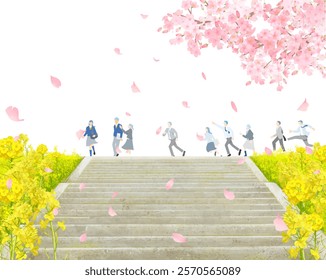 Cherry blossom trees and rape blossoms blooming on the bank, male and female students walking along the bank, stairs on the bank, graduation and entrance, vertical vector illustration white background