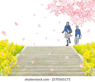 Cherry blossom trees and rape blossoms blooming on the bank, male and female students walking along the bank, stairs on the bank, graduation and entrance, vertical vector illustration white background