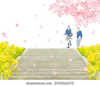 Cherry blossom trees and rape blossoms blooming on the bank, male and female students walking along the bank, stairs on the bank, graduation and entrance, vertical vector illustration white background