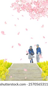 Cherry blossom trees and rape blossoms blooming on the bank, male and female students walking along the bank, stairs on the bank, graduation and entrance, vertical vector illustration white background