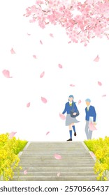 Cherry blossom trees and rape blossoms blooming on the bank, male and female students walking along the bank, stairs on the bank, graduation and entrance, vertical vector illustration white backgroun