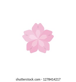 cherry blossom vector