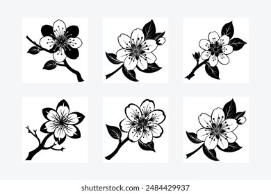 Cherry Blossom vector art illustration
