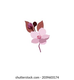 Cherry blossom vector art on white background 