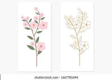 Cherry Blossom in vector. Cherry Blossom is available in both color and line style. Cherry blossoms are both pink and gold lines.