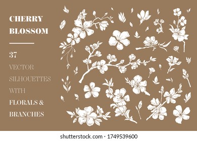 Cherry Blossom vector florals and branches