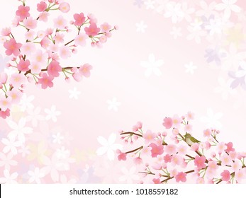 Cherry blossom vector frame.